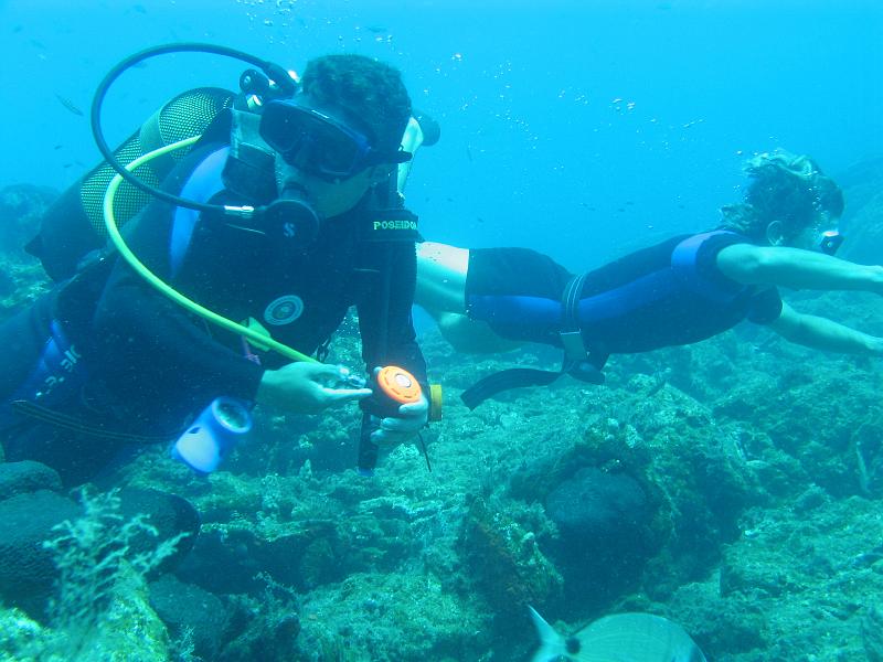 Coll TU 043.JPG